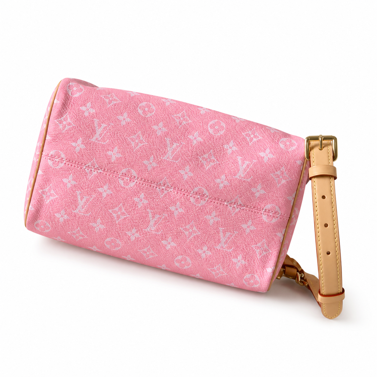 Louis Vuitton Monogram Tall Structured Crossbody Bag