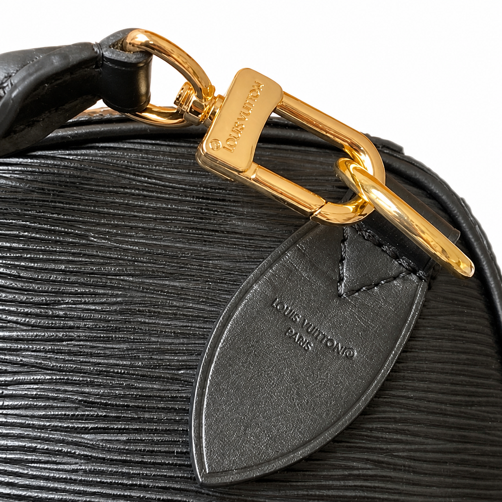 Louis Vuitton Monogram Structured Day Bag