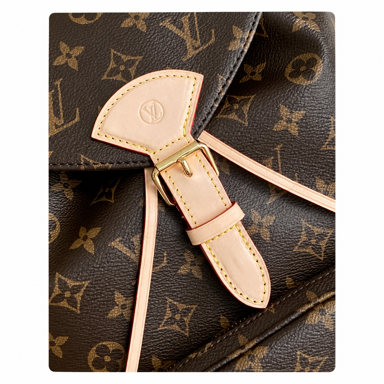 Louis Vuitton Montsouris GM — Monogram Canvas & Vachetta