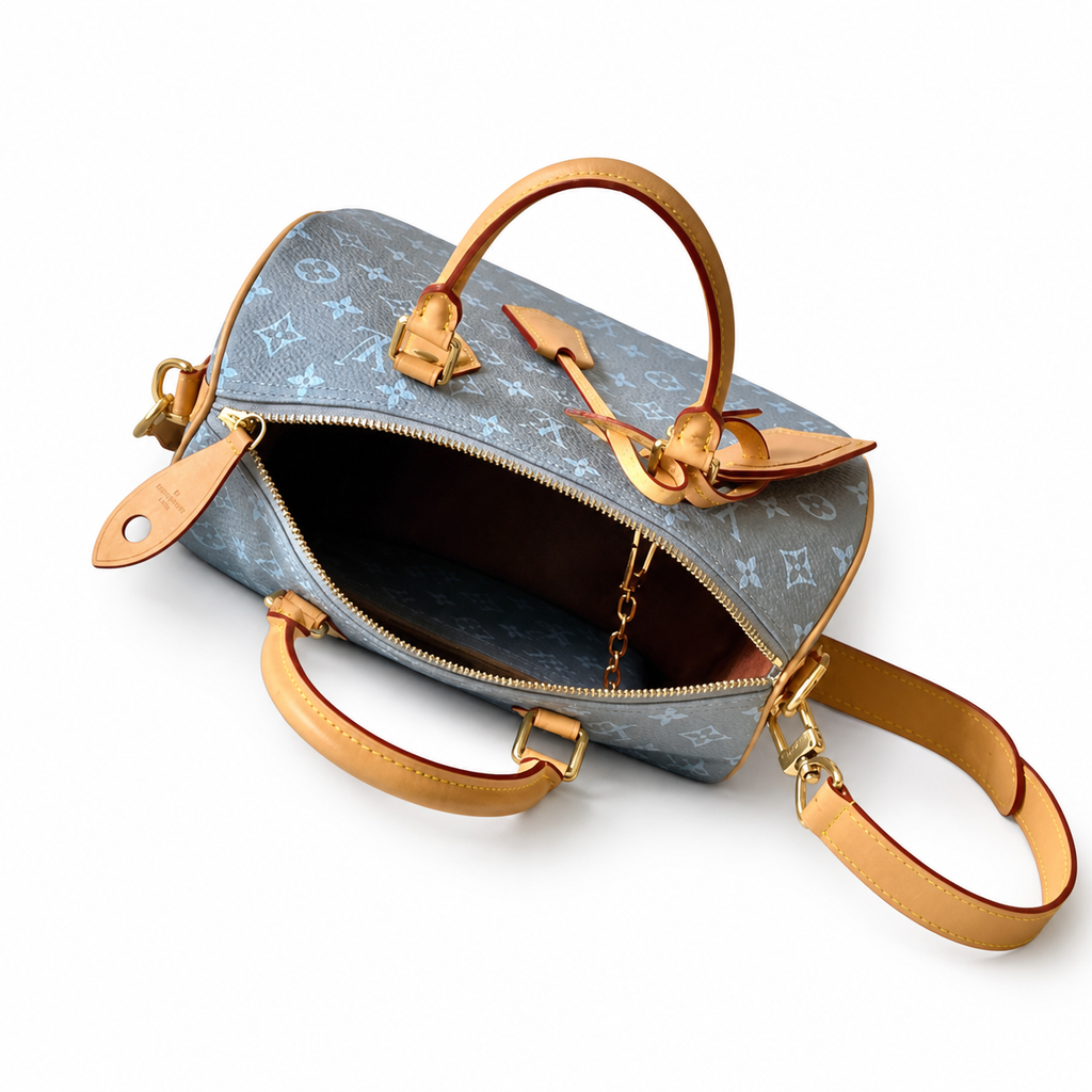 Louis Vuitton Monogram Structured Bag