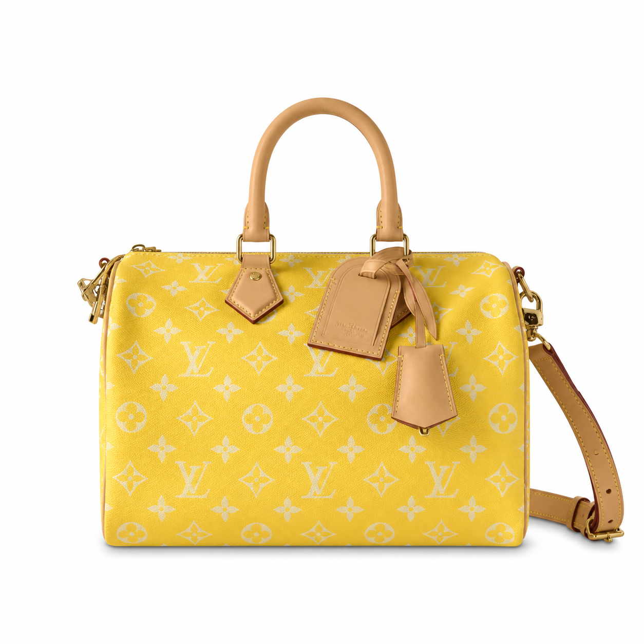 Louis Vuitton Monogram Tall Crossbody Bag — Structured Carry