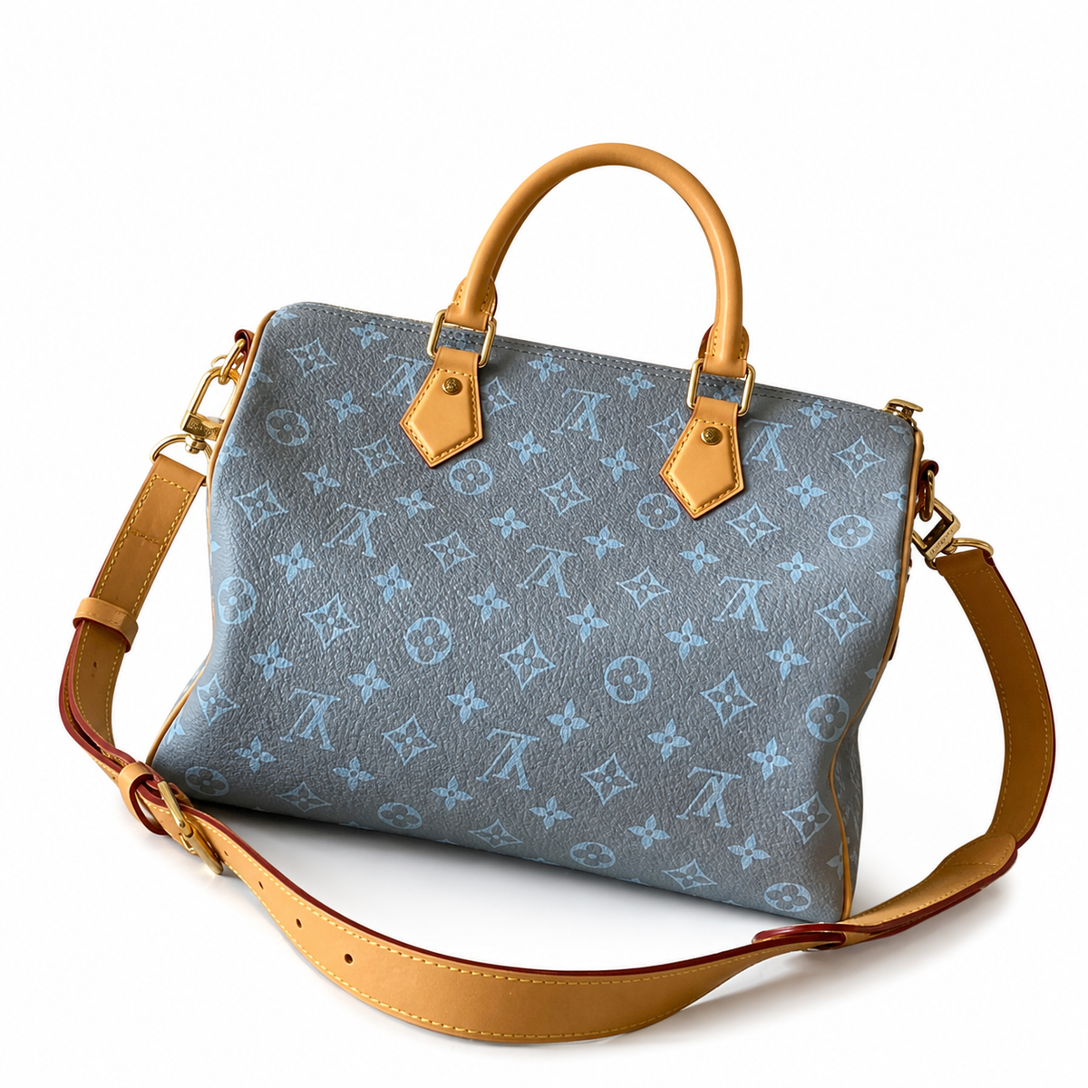Louis Vuitton Monogram Structured Bag