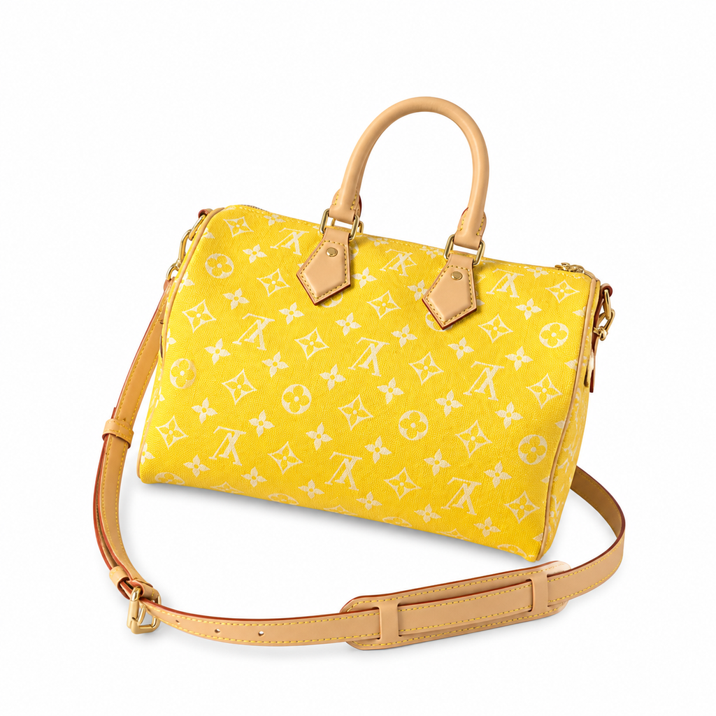 Louis Vuitton Monogram Tall Crossbody Bag — Structured Carry