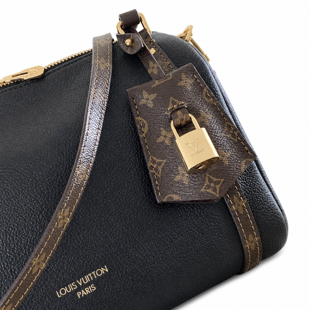 Louis Vuitton Monogram Dual-Carry Vertical Bag