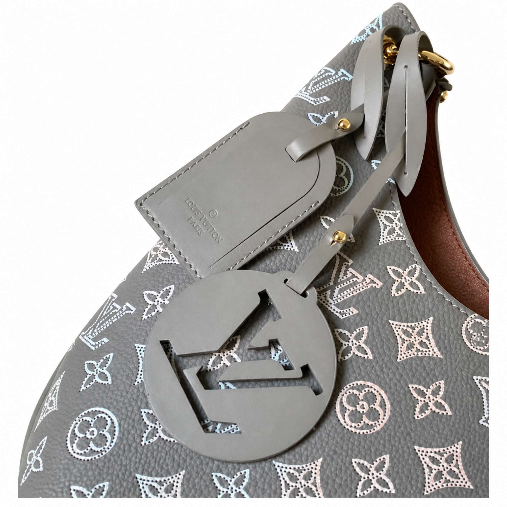 Louis Vuitton Iridescent Hobo — Grey Monogram Canvas, Braided Handle, LV Round Charm & Pink Interior