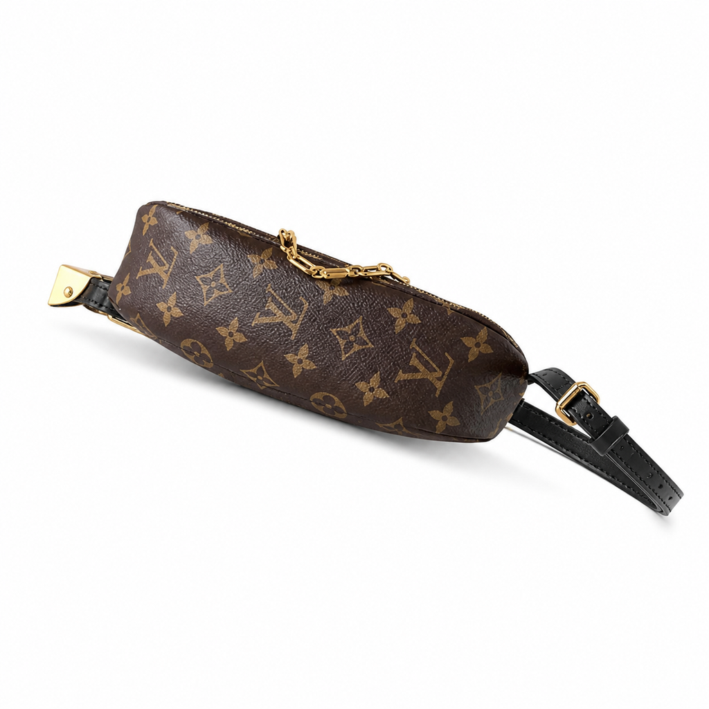 Louis Vuitton Monogram Petite Vertical Shoulder Bag
