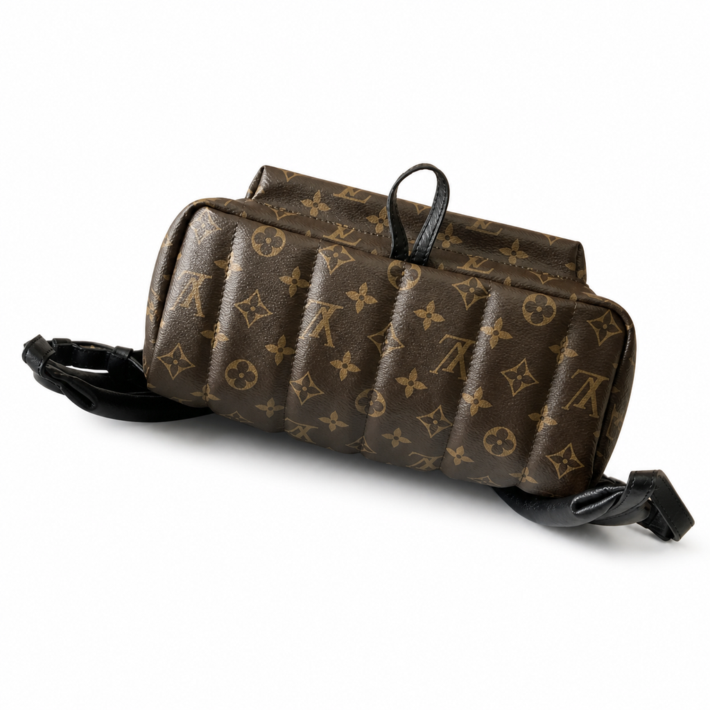 Louis Vuitton Palm Springs MM Backpack — Monogram Canvas