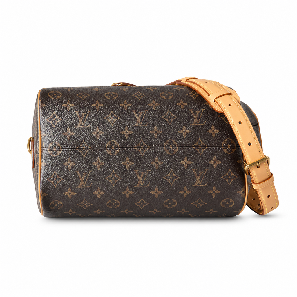 Louis Vuitton Monogram Tall Tote Bag