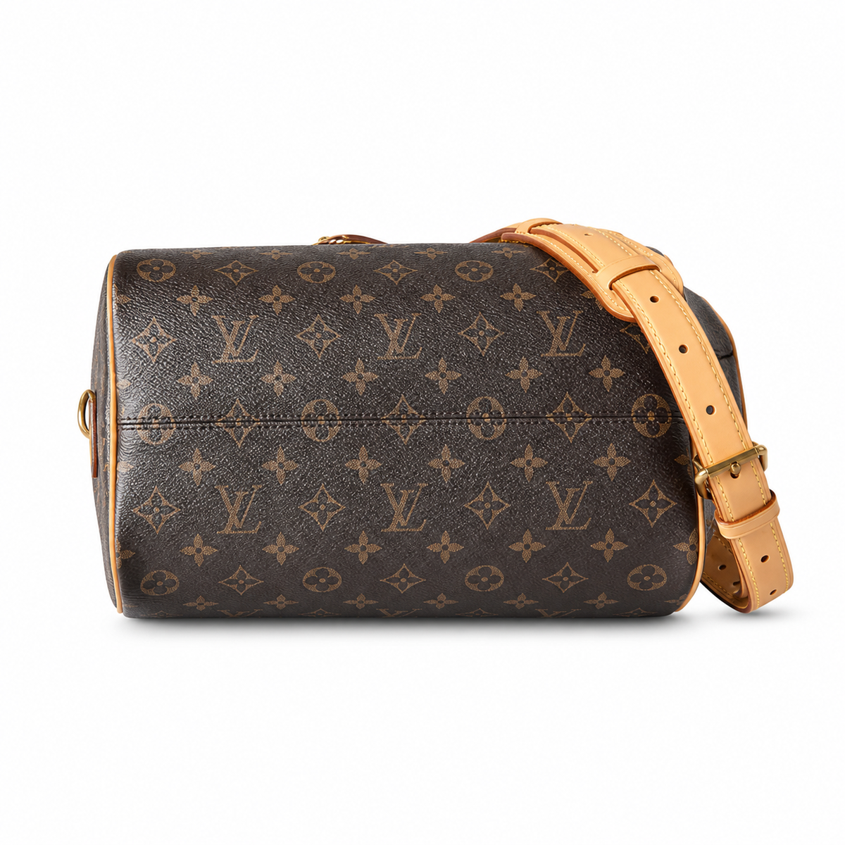 Louis Vuitton Monogram Tall Tote Bag