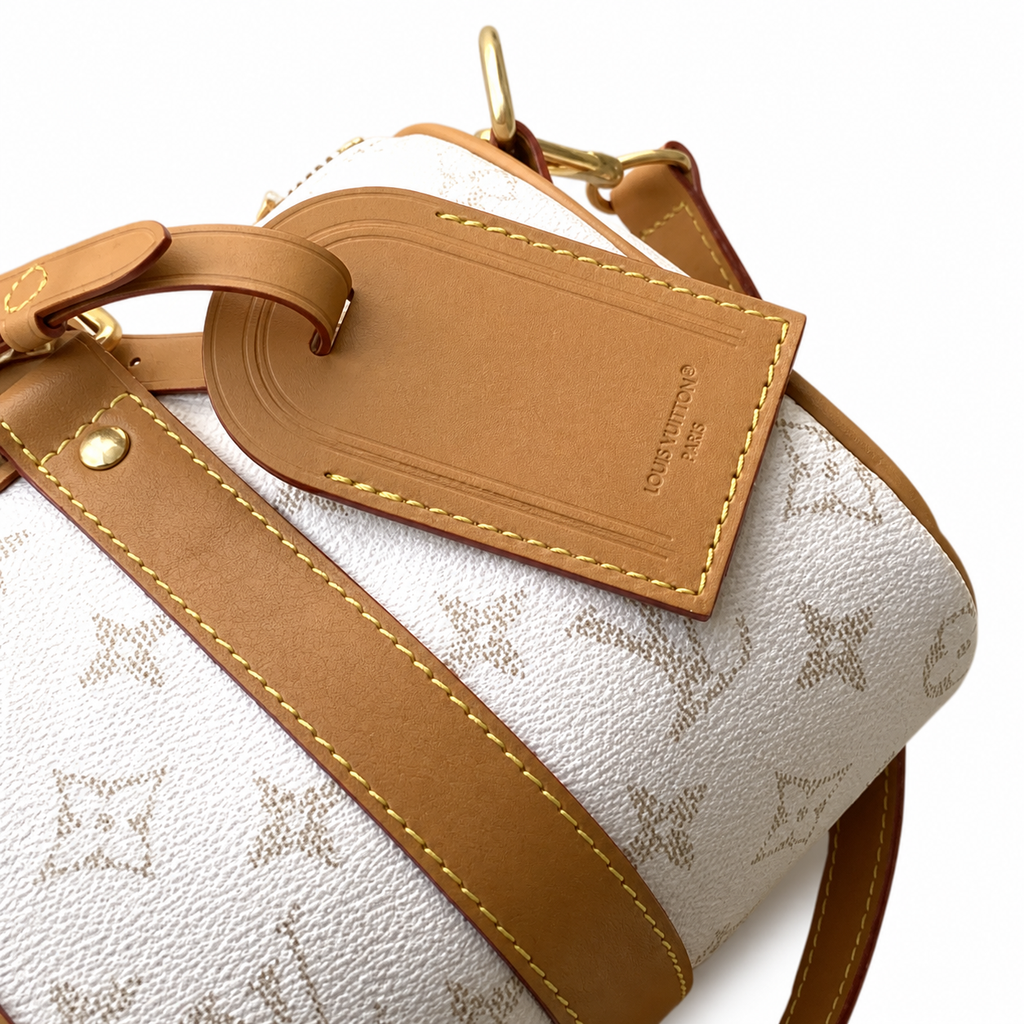 Louis Vuitton Monogram Mini Top-Handle Bag