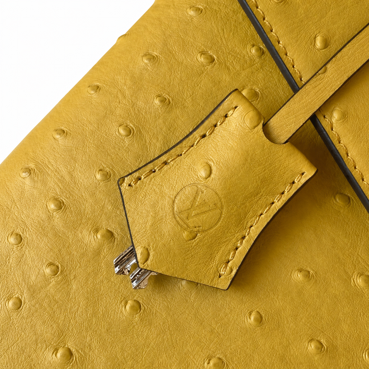 Louis Vuitton Monogram Prestige Flap Crossbody