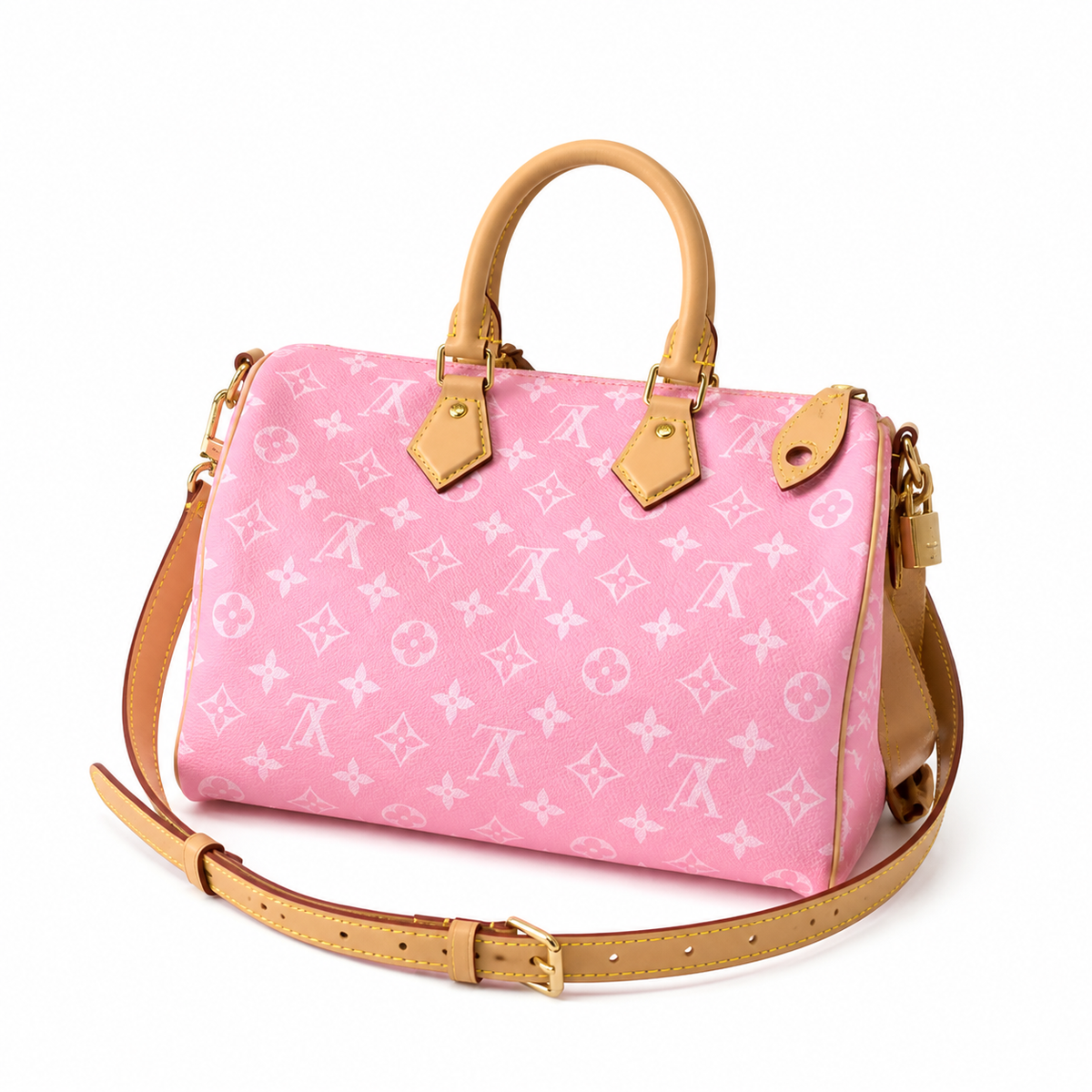 Louis Vuitton Monogram Tall Structured Crossbody Bag